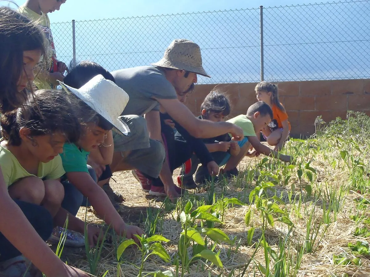 Camping Sunissim El Pla De Mar By Locatour Hotel Malgrat De Mar